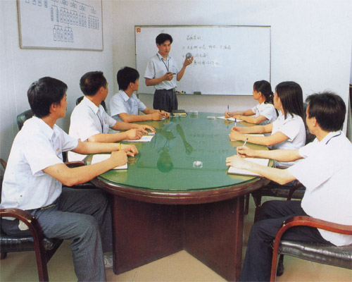 KPT拖攬電動(dòng)平車(chē)